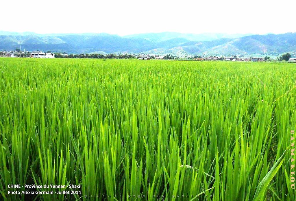 062 - Shaxi.JPG